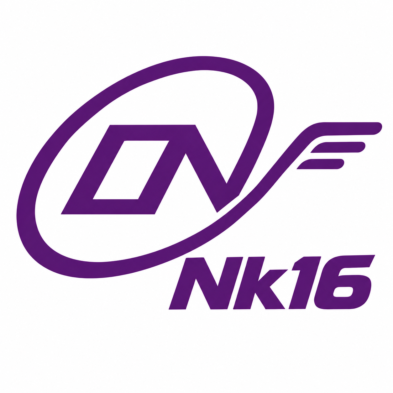 nk16 logo